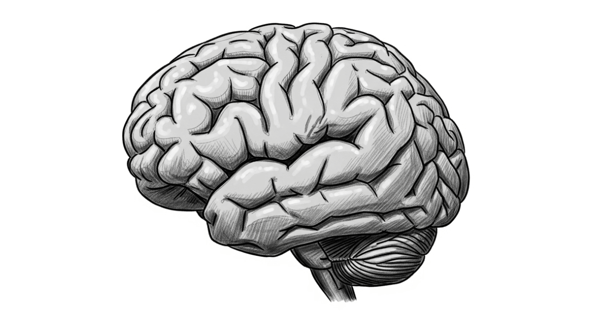 Come non fare nulla per 10 minuti ha riprogrammato il mio cervello